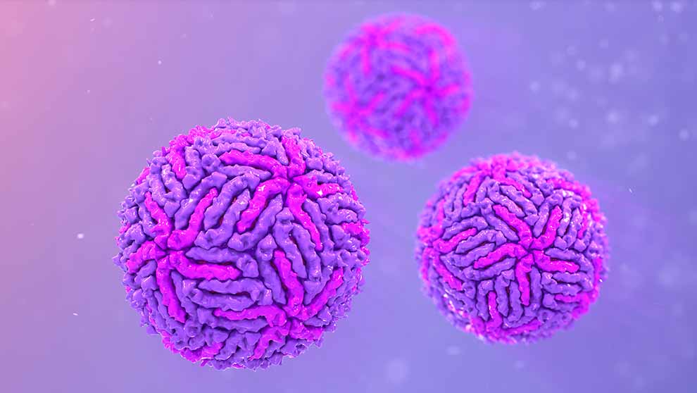 round textured depictions of zika virus