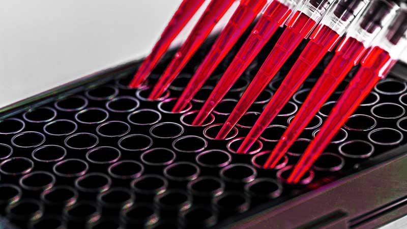 8-channel micropippette in assay tray