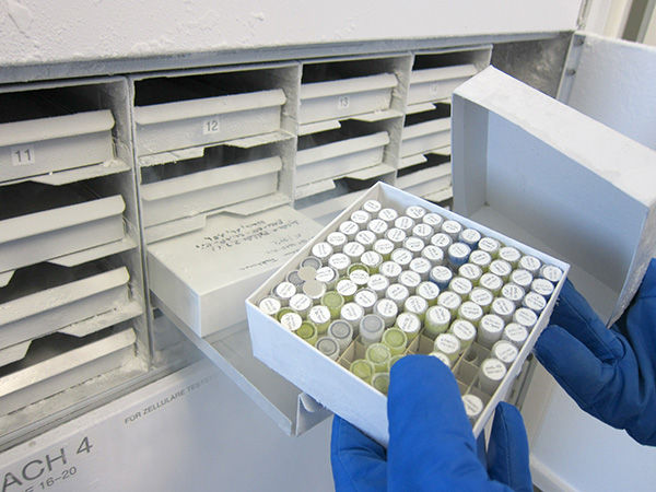 Choosing the Right Sample Management Software for Your Biobank