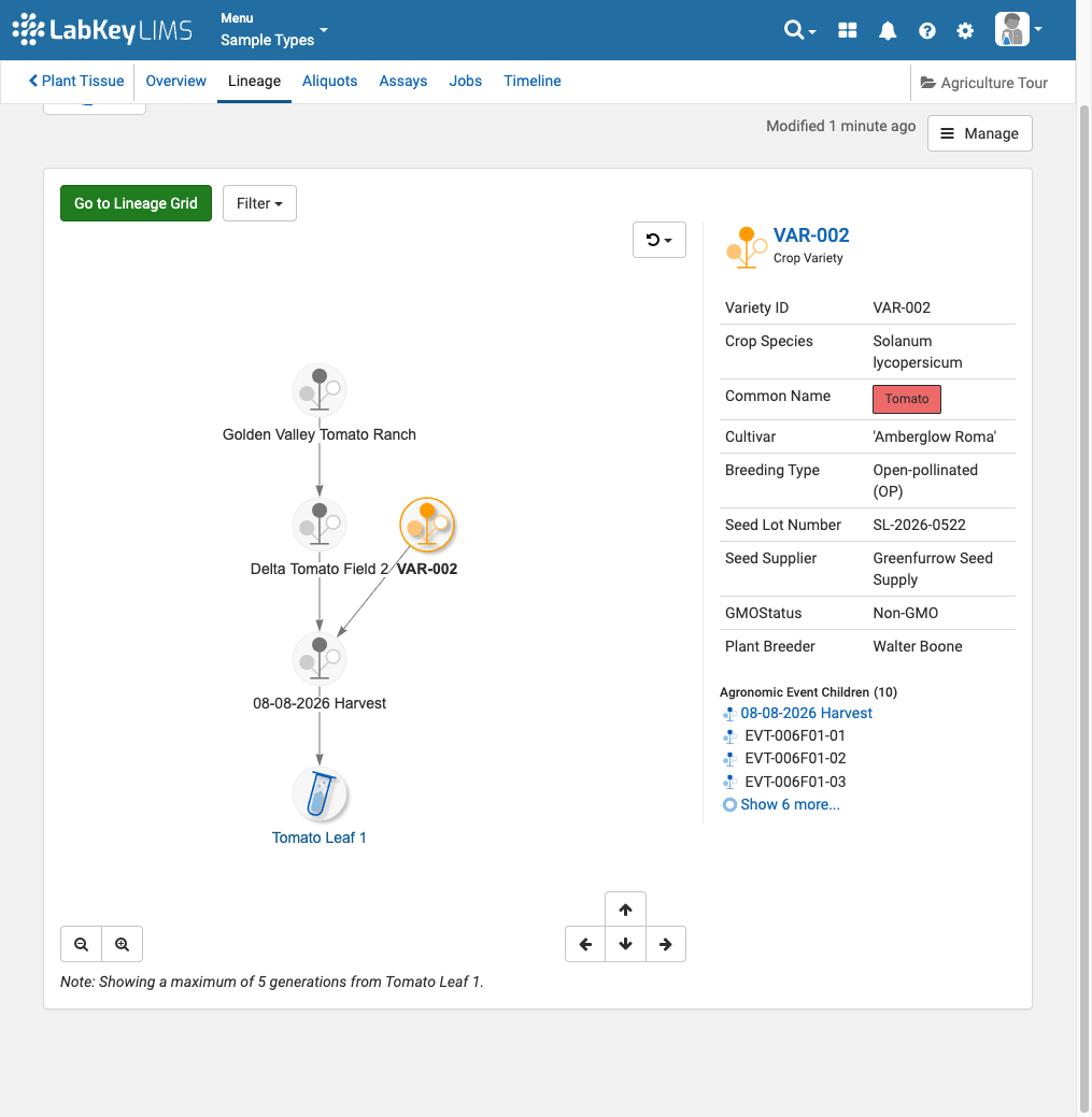 lineage view for sample in labkey lims highlighting crop variety relationship to current sample selected