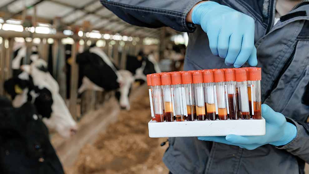 What AAVLD Accreditation Requires From a Lab’s Data Systems
